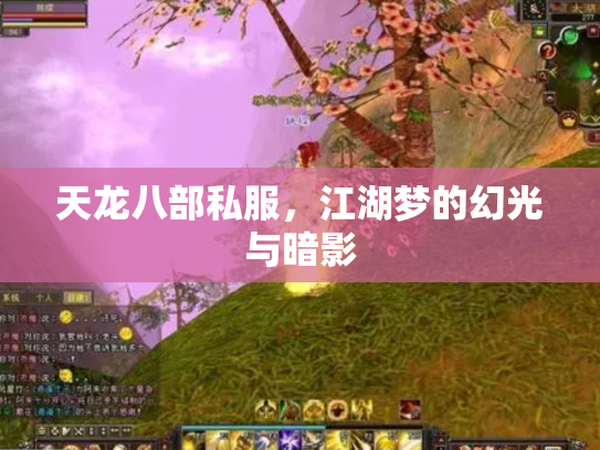 天龙八部私服，江湖梦的幻光与暗影