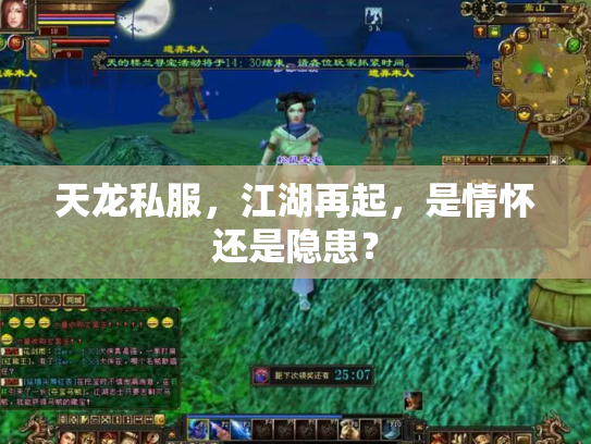 天龙私服，江湖再起，是情怀还是隐患？