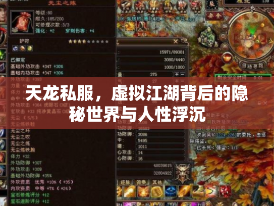 天龙私服，虚拟江湖背后的隐秘世界与人性浮沉