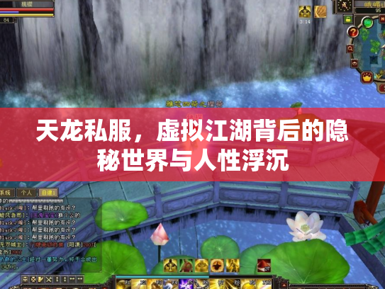 天龙私服，虚拟江湖背后的隐秘世界与人性浮沉