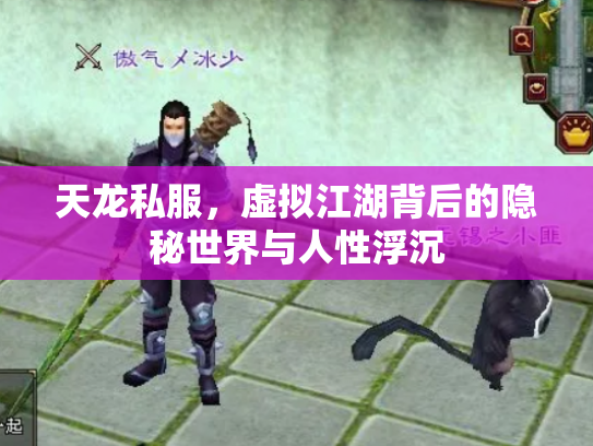 天龙私服，虚拟江湖背后的隐秘世界与人性浮沉