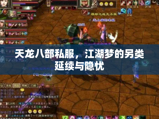天龙八部私服，江湖梦的另类延续与隐忧