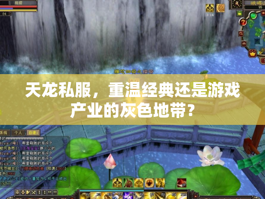 天龙私服，重温经典还是游戏产业的灰色地带？