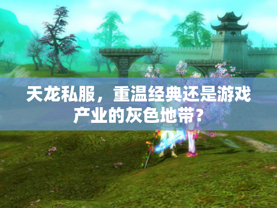 天龙私服，重温经典还是游戏产业的灰色地带？