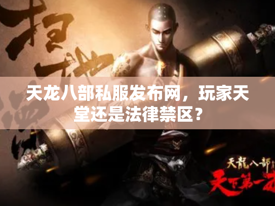 天龙八部私服发布网，玩家天堂还是法律禁区？