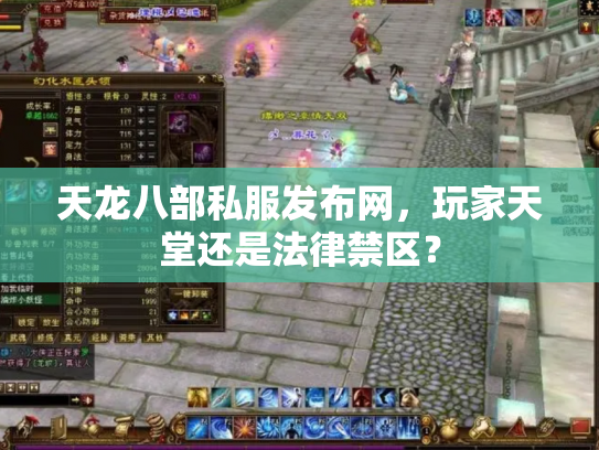 天龙八部私服发布网，玩家天堂还是法律禁区？