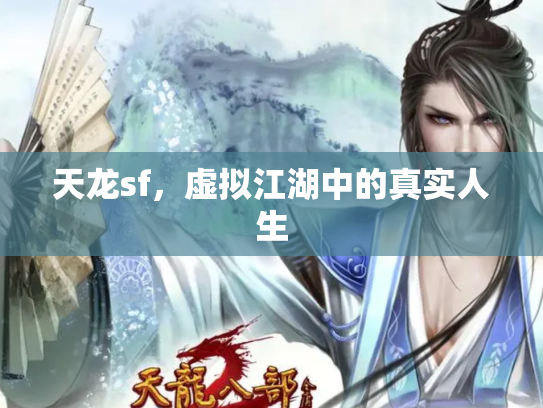 天龙sf，虚拟江湖中的真实人生