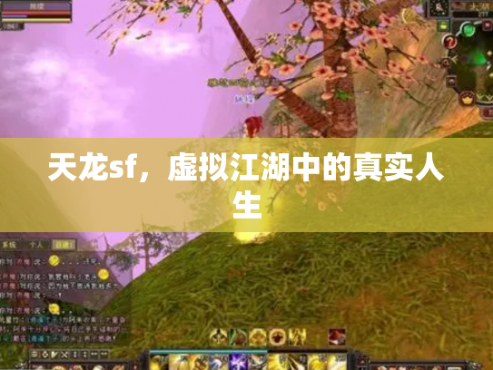 天龙sf，虚拟江湖中的真实人生