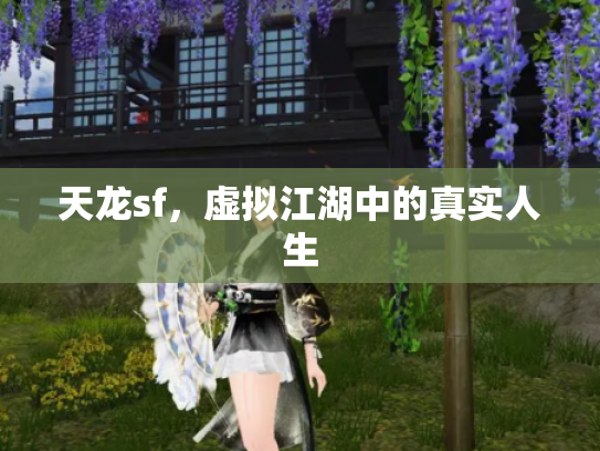 天龙sf，虚拟江湖中的真实人生