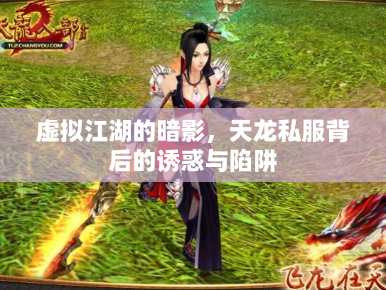 虚拟江湖的暗影，天龙私服背后的诱惑与陷阱