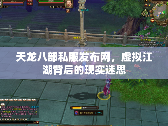 天龙八部私服发布网，虚拟江湖背后的现实迷思