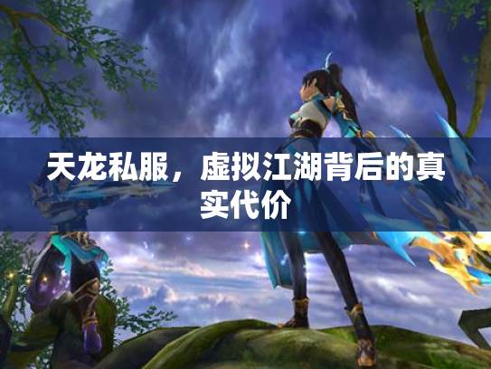 天龙私服，虚拟江湖背后的真实代价