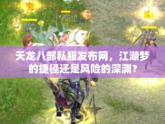 天龙八部私服发布网，江湖梦的捷径还是风险的深渊？