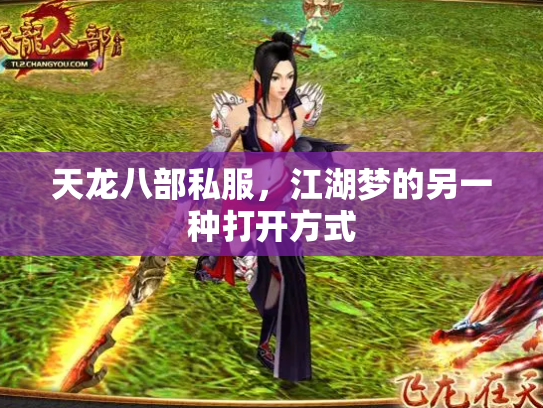 天龙八部私服，江湖梦的另一种打开方式