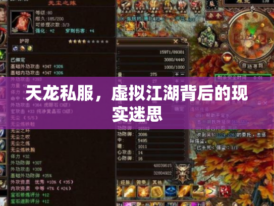 天龙私服，虚拟江湖背后的现实迷思