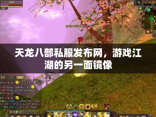 天龙八部私服发布网，游戏江湖的另一面镜像