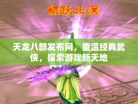 天龙八部发布网，重温经典武侠，探索游戏新天地