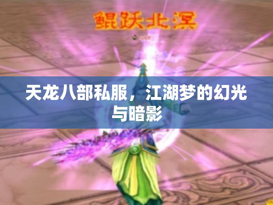 天龙八部私服，江湖梦的幻光与暗影