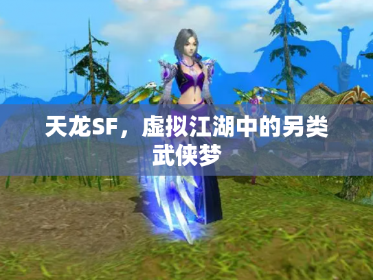 天龙SF，虚拟江湖中的另类武侠梦