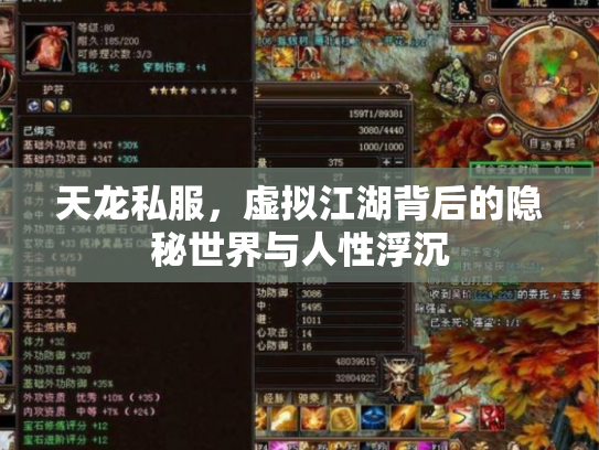 天龙私服，虚拟江湖背后的隐秘世界与人性浮沉