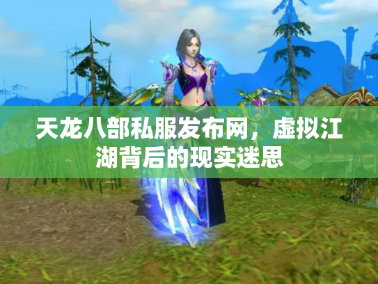 天龙八部私服发布网，虚拟江湖背后的现实迷思