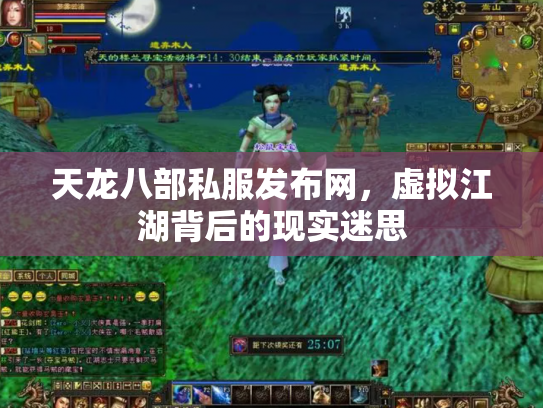 天龙八部私服发布网，虚拟江湖背后的现实迷思