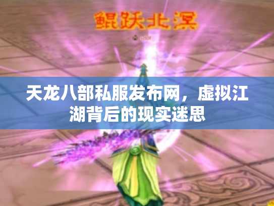 天龙八部私服发布网，虚拟江湖背后的现实迷思