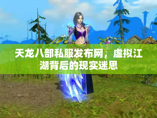 天龙八部私服发布网，虚拟江湖背后的现实迷思