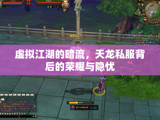 虚拟江湖的暗流，天龙私服背后的荣耀与隐忧