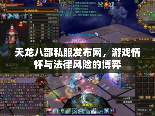 天龙八部私服发布网，游戏情怀与法律风险的博弈