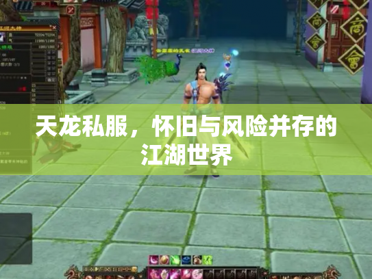 天龙私服，怀旧与风险并存的江湖世界