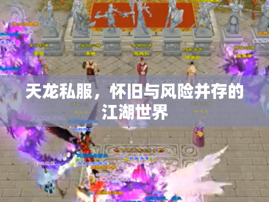 天龙私服，怀旧与风险并存的江湖世界