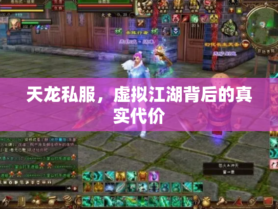 天龙私服，虚拟江湖背后的真实代价
