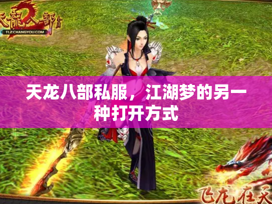 天龙八部私服，江湖梦的另一种打开方式