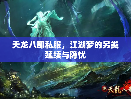 天龙八部私服，江湖梦的另类延续与隐忧