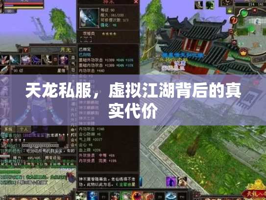 天龙私服，虚拟江湖背后的真实代价