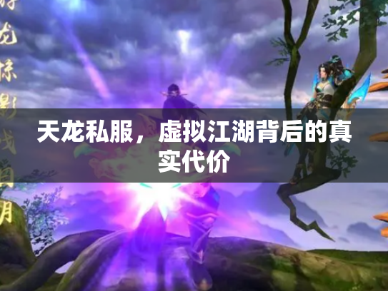 天龙私服，虚拟江湖背后的真实代价
