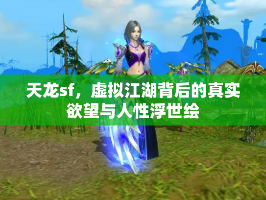 天龙sf，虚拟江湖背后的真实欲望与人性浮世绘