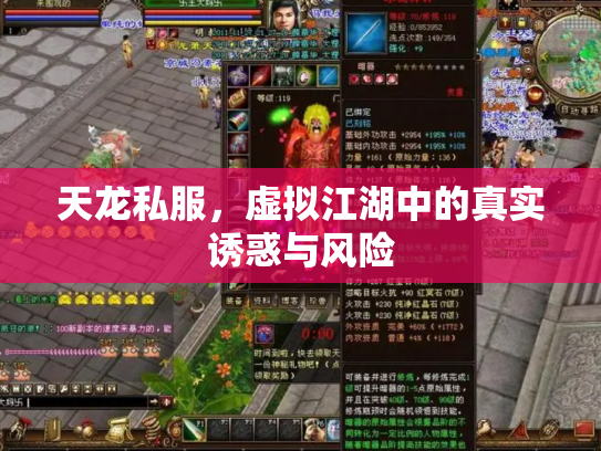 天龙私服，虚拟江湖中的真实诱惑与风险
