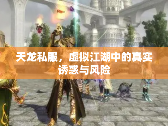 天龙私服，虚拟江湖中的真实诱惑与风险