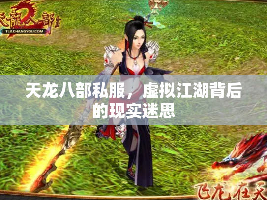 天龙八部私服，虚拟江湖背后的现实迷思