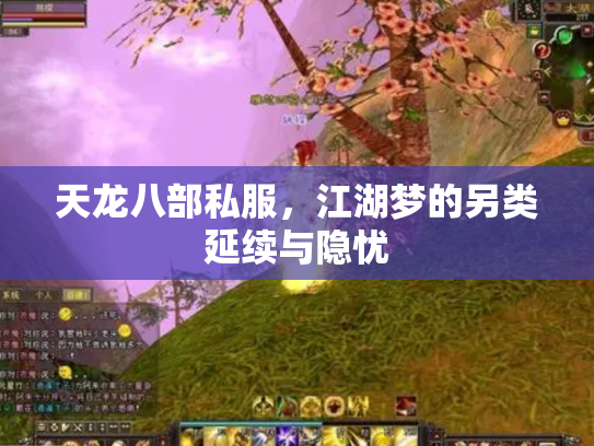 天龙八部私服，江湖梦的另类延续与隐忧