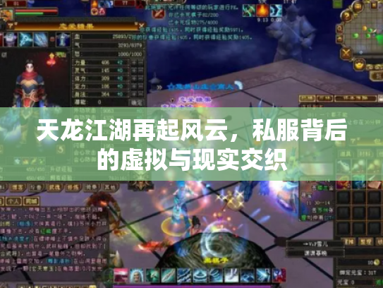天龙江湖再起风云，私服背后的虚拟与现实交织