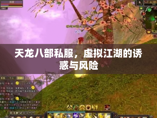天龙八部私服，虚拟江湖的诱惑与风险
