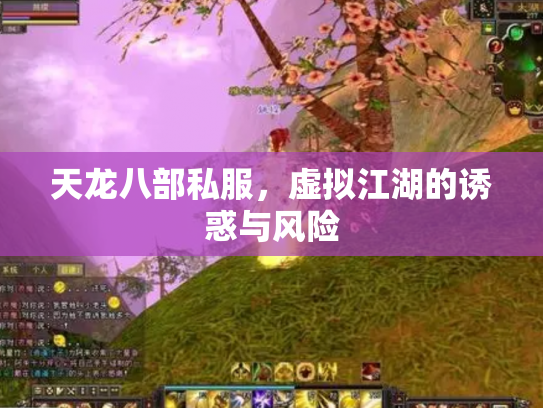 天龙八部私服，虚拟江湖的诱惑与风险