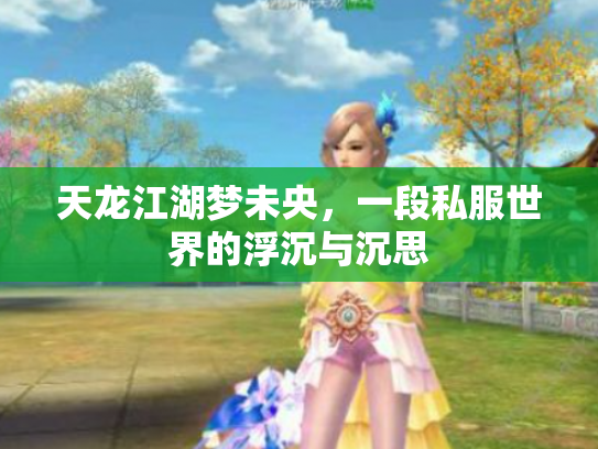 天龙江湖梦未央，一段私服世界的浮沉与沉思