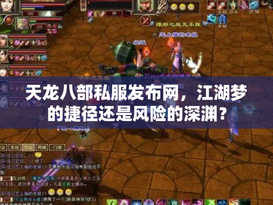 天龙八部私服发布网，江湖梦的捷径还是风险的深渊？