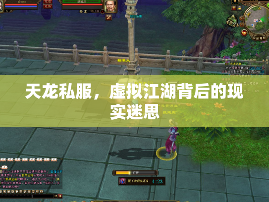 天龙私服，虚拟江湖背后的现实迷思