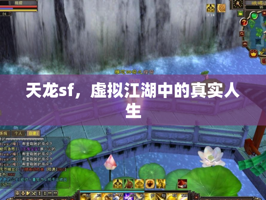 天龙sf，虚拟江湖中的真实人生