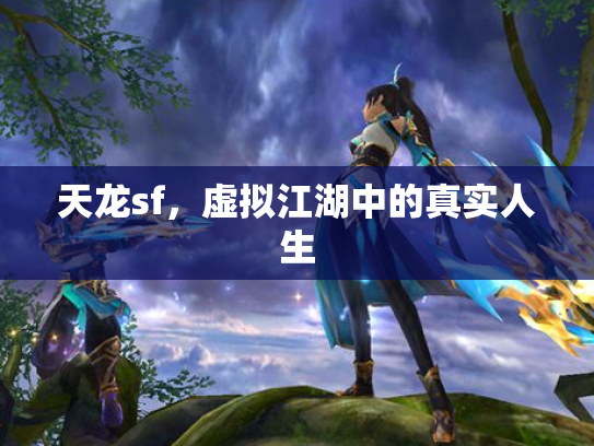 天龙sf，虚拟江湖中的真实人生